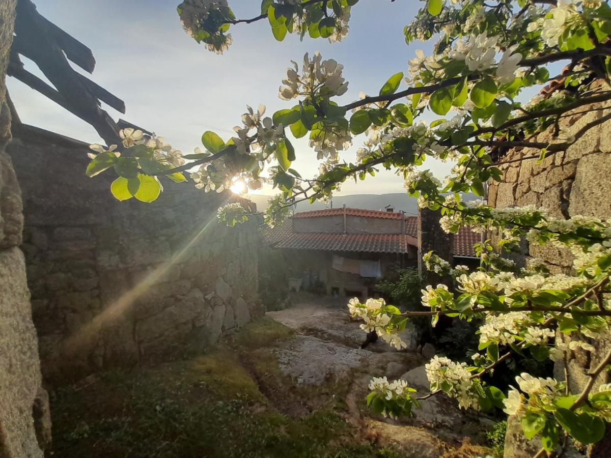 Вилла Casa Padre Manuel Do Couto Вила-Пока-ди-Агиар Экстерьер фото